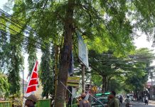 Thonsom Pranggono, Pemasangan Reklame yang Tidak Sesuai Ketentuan Merusak Estetika Kota