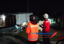 BPBD Kabupaten Jombang Gercep Tangani Bencana Angin Kencang di 3 Kecamatan
