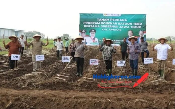 Dalam Rangka Mendukung Percepatan Swasembada Gula Nasional, Ini yang Dilakukan Disperta Jombang