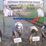 Dukung Program Swasembada Pangan Berkelanjutan 2026, Disperta Gelar Percepatan Tanam