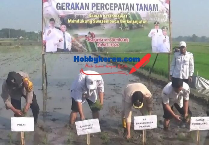 Dukung Program Swasembada Pangan Berkelanjutan 2026, Disperta Gelar Percepatan Tanam